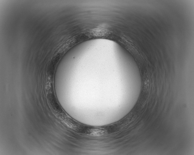 X0000078830555200612041816