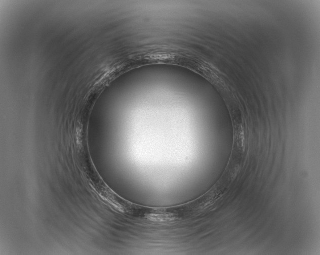 X0000078830556200612041816