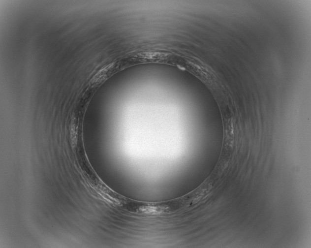 X0000078830558200612041816