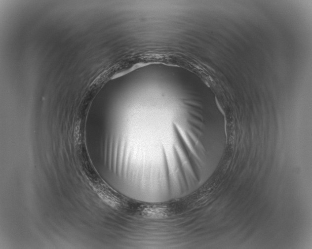 X0000078830560200612041816