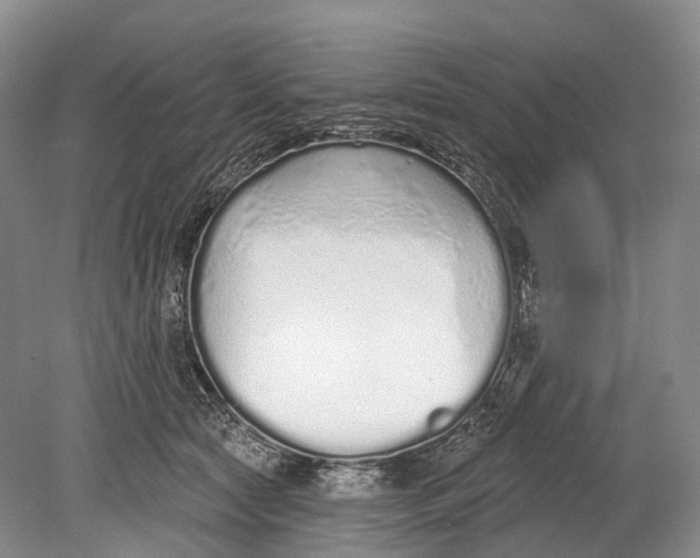 X0000078830561200612041816