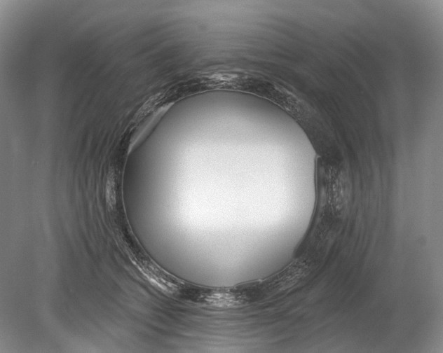 X0000078830562200612041816