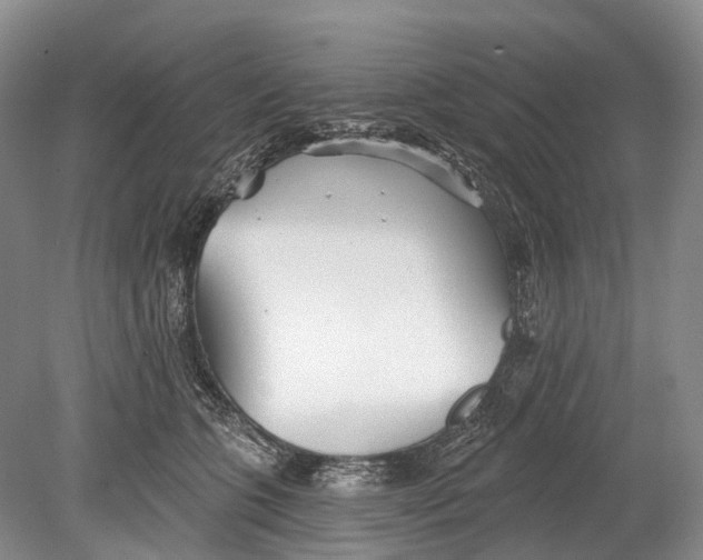 X0000078830563200612041816