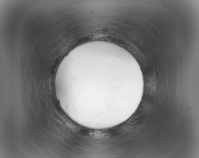 X0000078830565200612041816