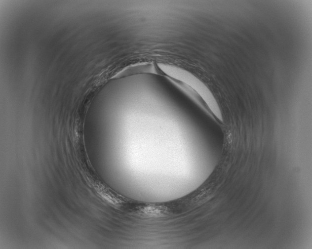 X0000078830566200612041816