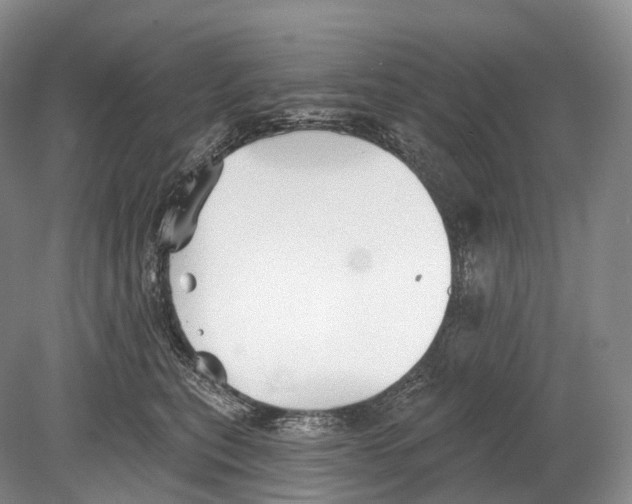 X0000078830567200612041816