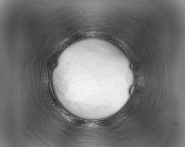 X0000078830569200612041816