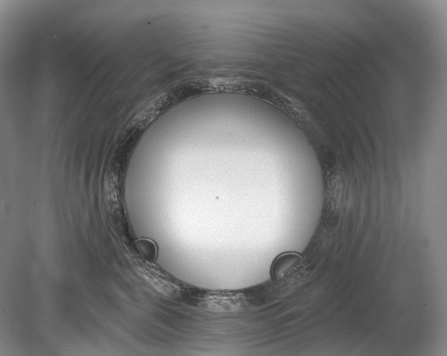 X0000078830571200612041816