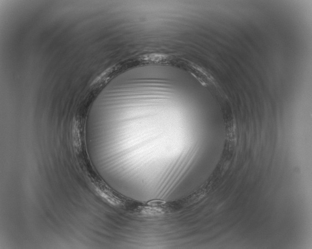 X0000078830572200612041816