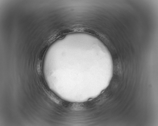 X0000078830573200612041816