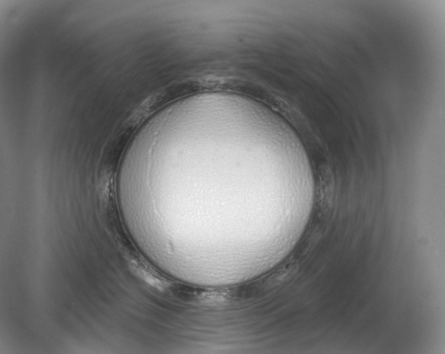 X0000078830574200612041816