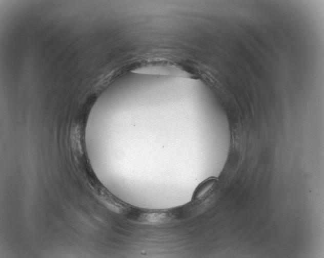 X0000078830575200612041816