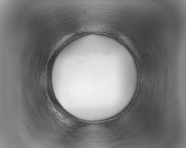 X0000078830578200612041815