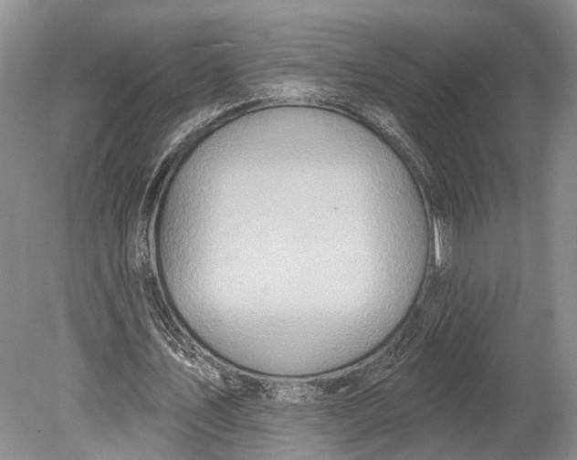 X0000078830579200612041815