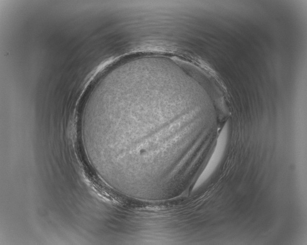 X0000078830580200612041815