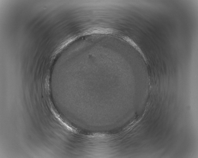 X0000078830581200612041815