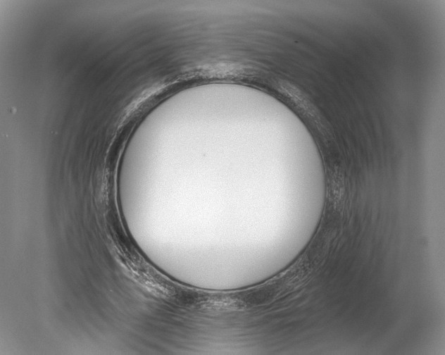 X0000078830583200612041815