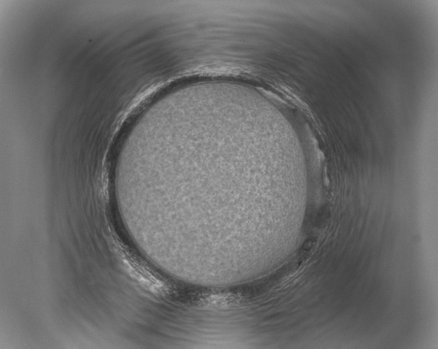 X0000078830584200612041815