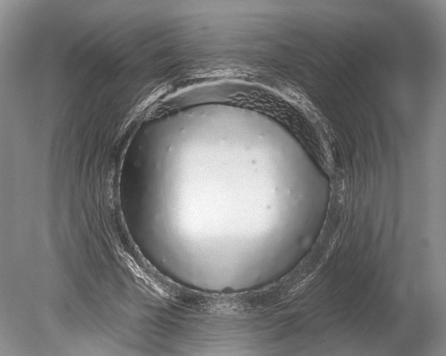 X0000078830585200612041815