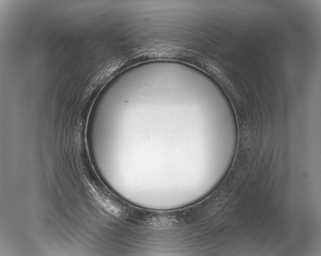 X0000078830586200612041815