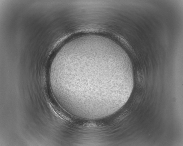 X0000078830588200612041815