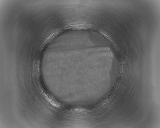 X0000078830590200612041815