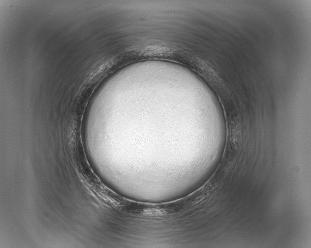 X0000078830591200612041815