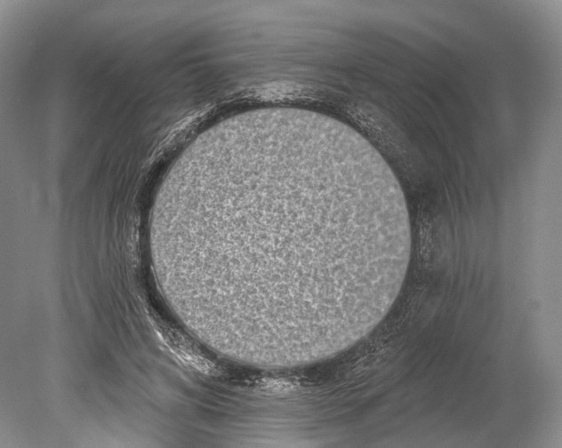 X0000078830592200612041815