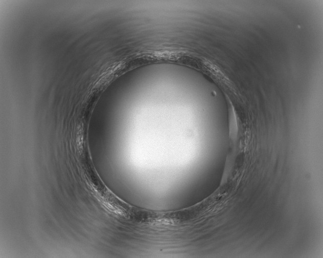 X0000078830593200612041815