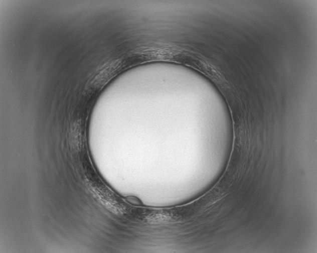 X0000078830594200612041815