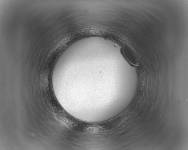 X0000078830595200612041815