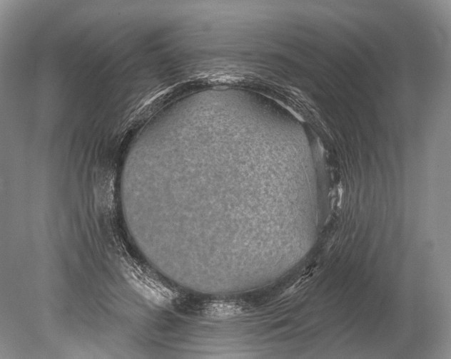 X0000078830596200612041815