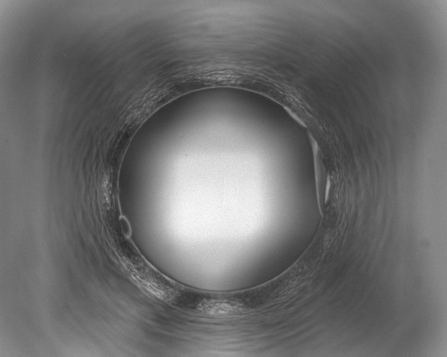 X0000078830597200612041815