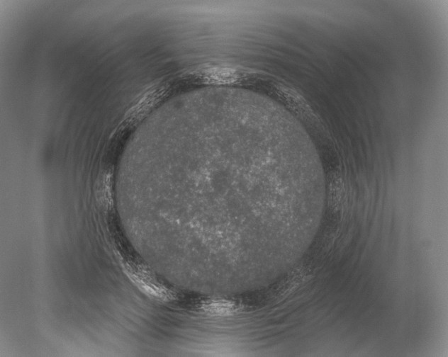 X0000078830598200612041815