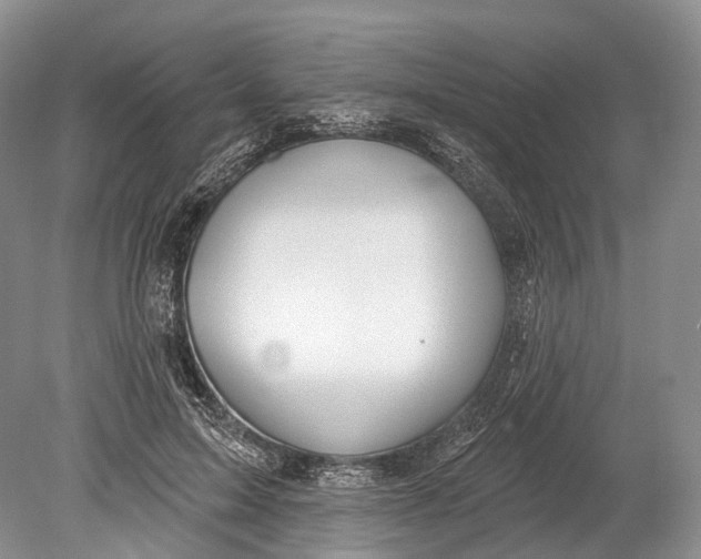 X0000078830599200612041815