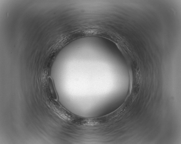 X0000078830601200612041815