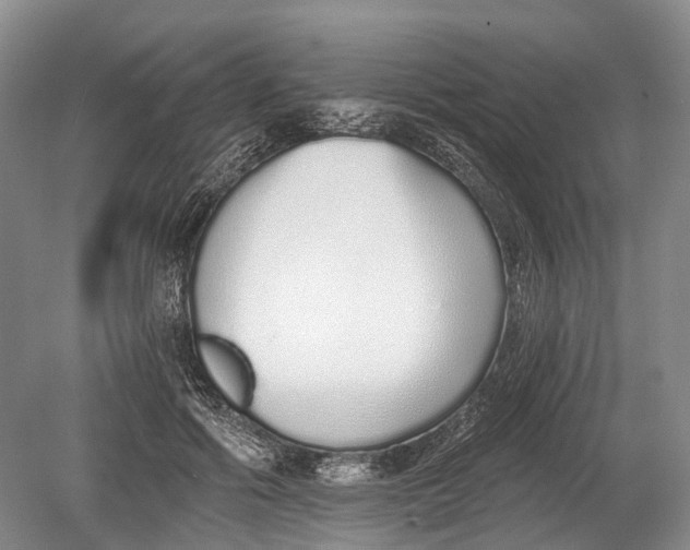 X0000078830602200612041815