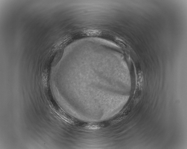 X0000078830604200612041815