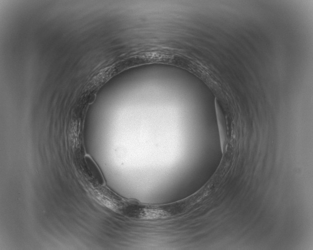 X0000078830605200612041815