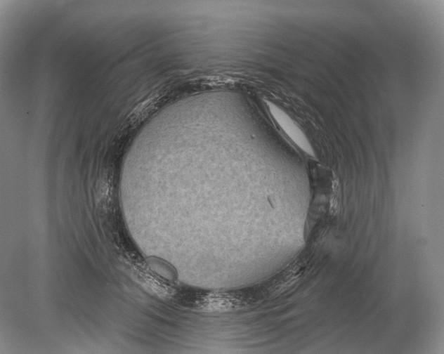 X0000078830608200612041815