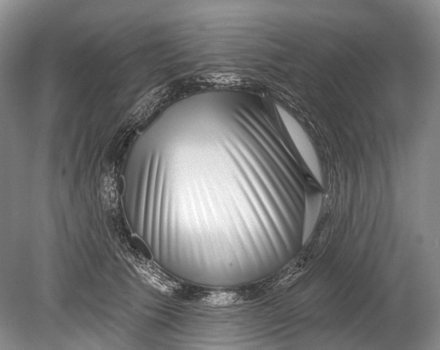 X0000078830609200612041815