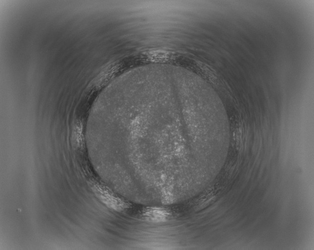 X0000078830610200612041815