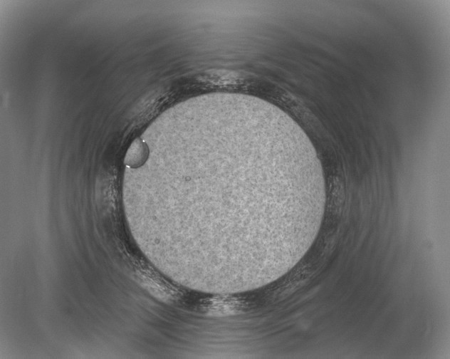 X0000078830612200612041815