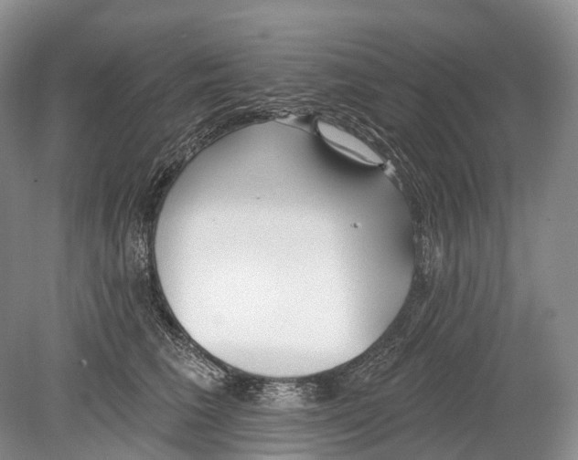 X0000078830613200612041815