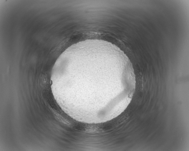 X0000078830614200612041815