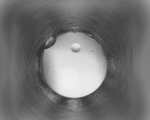 X0000078830615200612041815