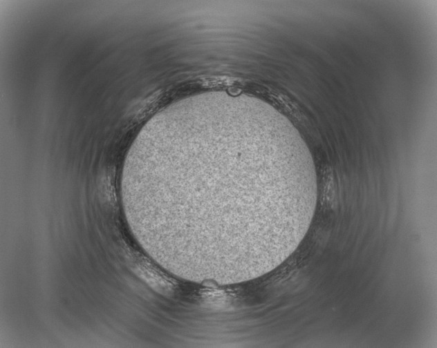 X0000078830616200612041815