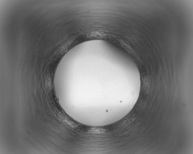 X0000078830617200612041815