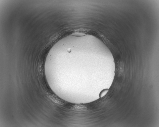 X0000078830619200612041815