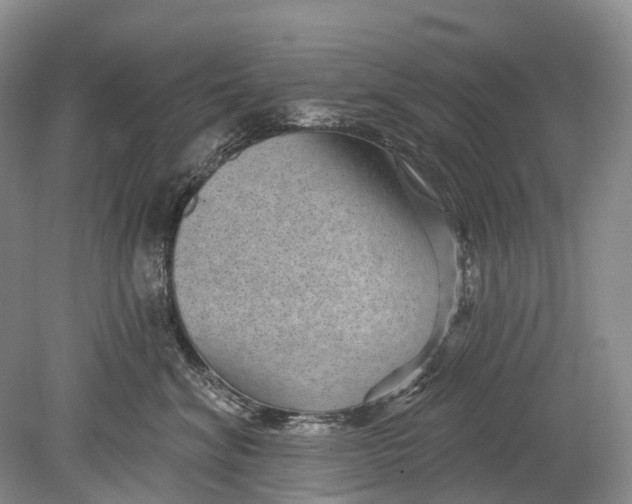 X0000078830620200612041815